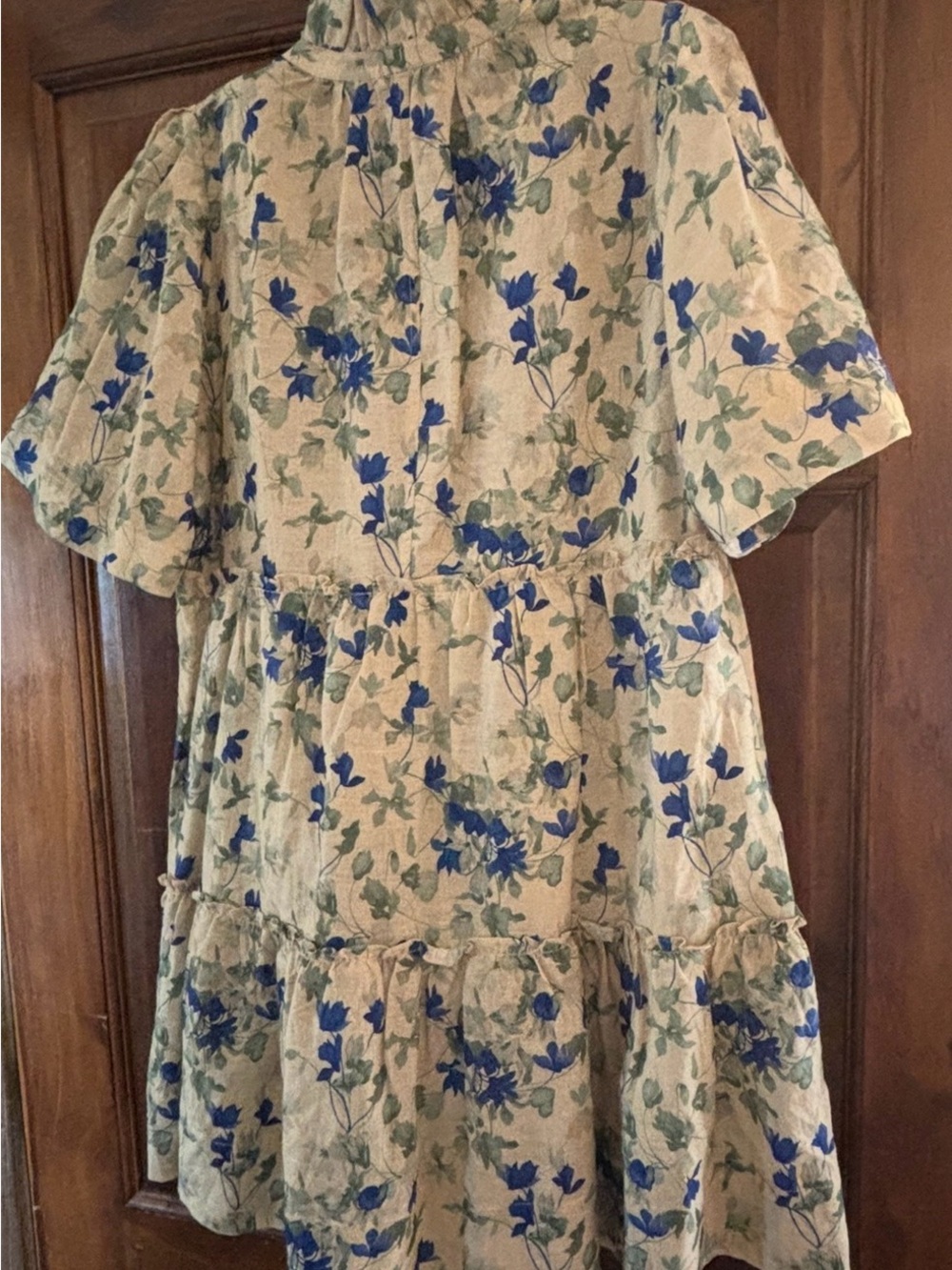Tuckernuck Cream Dress with Blue and Green Floral Print - Picture 3 of 3